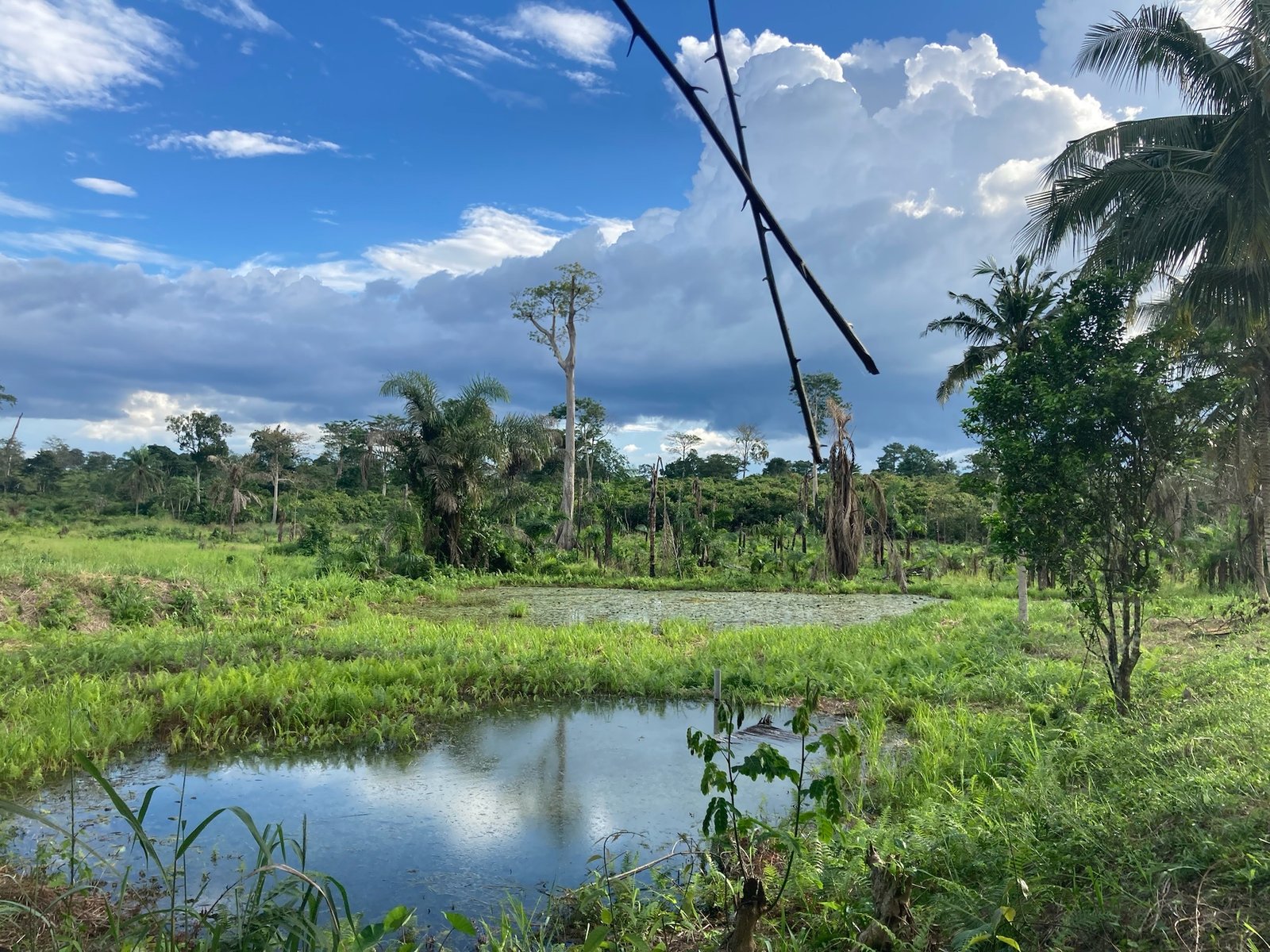 Bia National Park